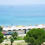 Palatino 4*