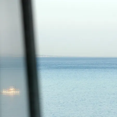 팔라티노