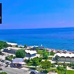 Palatino 4*